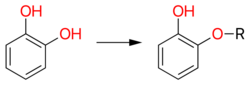Catechol mono-alkylation.svg