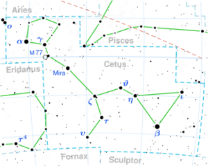 GJ 1005 is located in the constellation Cetus.