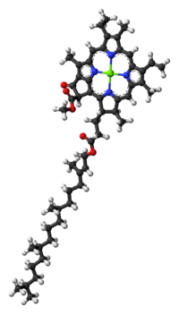 Chlorophyll-a-3D-balls.png