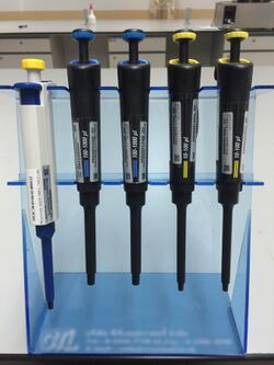 Different volumes of micropipettes.jpg