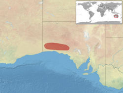 Diporiphora linga distribution.png