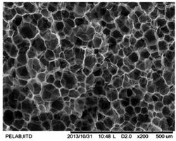 Microcellular foam without ultrasonication.jpg