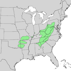 Robinia pseudoacacia distribution map.png