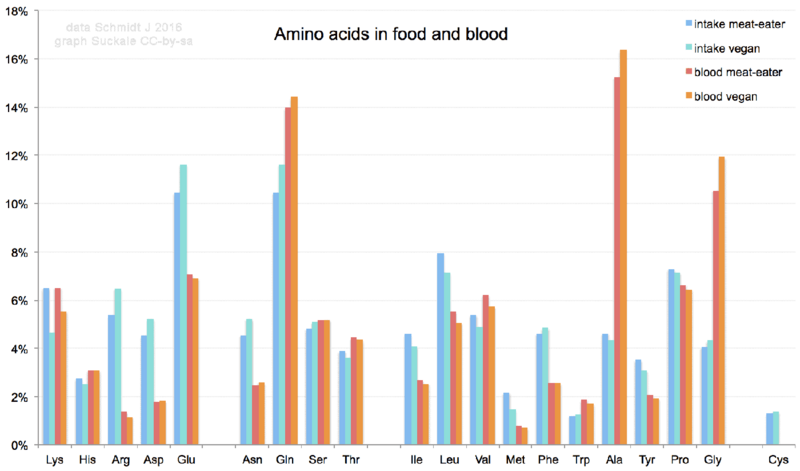 File:Amino acids in food and blood.png