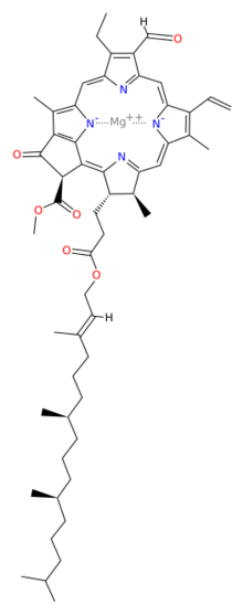 Structure of β-Chlorophyll