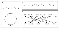 DCJ Example Genome.png