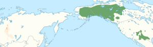 Dené-Yeniseian languages map.png