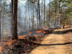 French Hill attends prescribed burn at Rattlesnake Ridge (March 1, 2020) 01.jpg