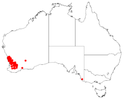 Hakea gilbertiiDistMap57.png