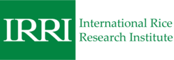 IRRI wordmark logo.svg