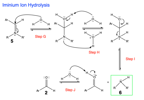 Chemistry:forster–decker Method - Handwiki