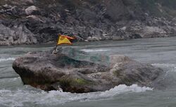 A rock with Kirat flag on top, in the middle of Koshi river