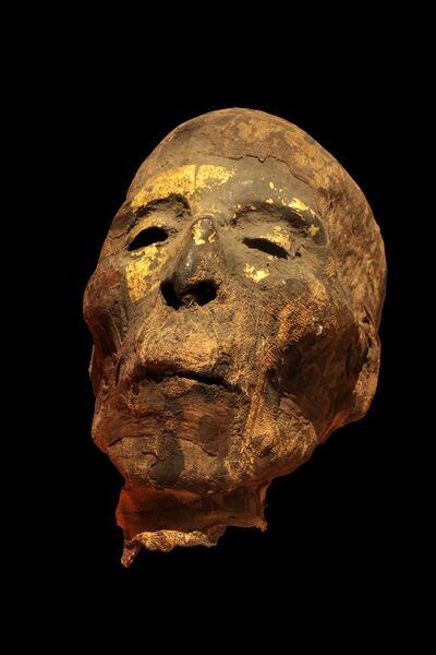 File:Mumified head IMG 0515.jpg