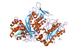 PDB 2bcg EBI.jpg