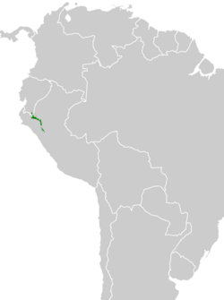 Patagioenas oenops map.svg