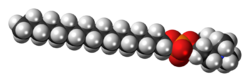 Perifosine-zwitterion-3D-spacefill.png