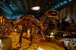Probactrosaurus at Giga Dinosaur Exhibition 2017.jpg