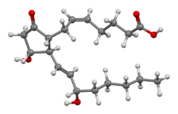 Prostaglandin-E2-from-xtal-3D-bs-17.png