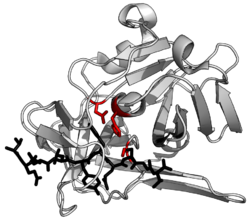 TEV protease summary.png
