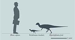 silhouette illustration of Vectidromeus insularis by Nick Longrich