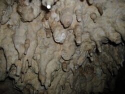 Witches' Cave stalactites.jpg