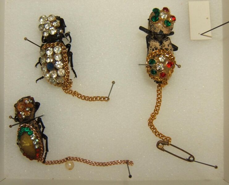 File:Zopheridae jewelry sjh.jpg