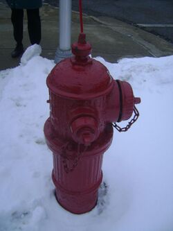 2016 fire-hydrant.JPG