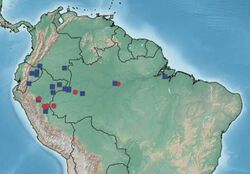 Avicularia juruensis distribution ZK127.jpg