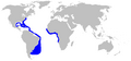 Night shark geographic range