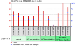 Expression of C16orf96 under different HIF depletion.png