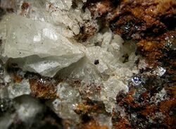 Fluellite-111339.jpg