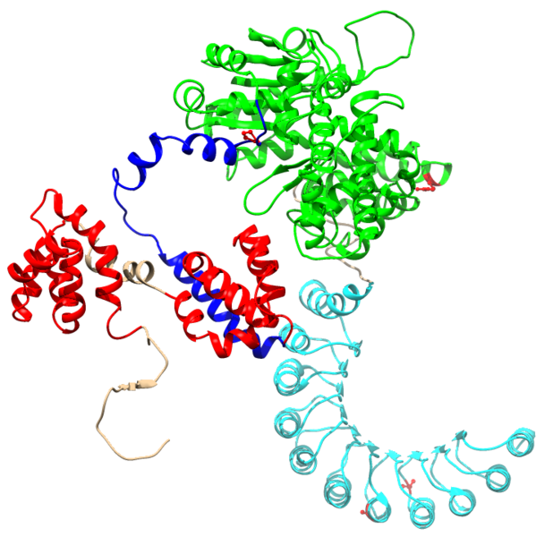 File:Nod2 protein.png