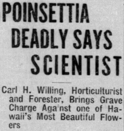 A newspaper clipping; the headline says "Poinsettia Deadly Says Scientist", while the subtitle says "Carl H. Willing", Horticulturalist and Forester, Brings Grave Charge Against one of Hawaii's Most Beautiful Flowers"