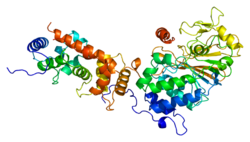 Protein PPP3CA PDB 1aui.png