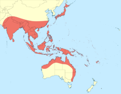 Pseudagrion microcephalum distribution map.svg