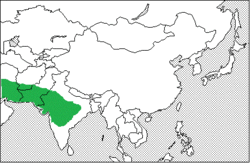 Range map of gazella bennettii.gif