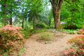 Rhododendron Species Foundation and Botanical Garden bench.jpg