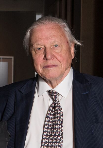 File:Sir David Frederick Attenborough at Weston Library Opening 20.3.15 (cropped).jpg