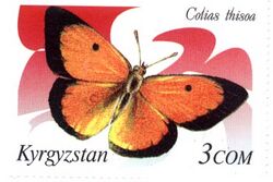 Stamp of Kyrgyzstan 216.jpg
