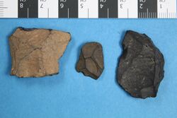 Tachylite flaked artefacts.jpg