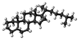 Ball-and-stick model of the coprostane molecule