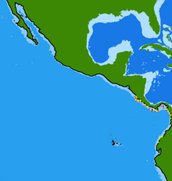 Acanthemblemaria exilispinus range.png