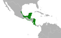 Aramides albiventris map.svg