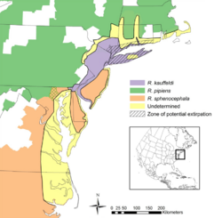 Atlantic Coast Leopard Frog distribution simplified.png