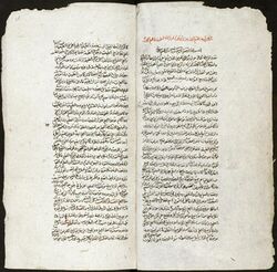 Bodlein Library MS. Arab.d.84 roll332 frame1.jpg