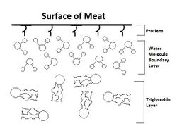 The water molecules create a physical barrier between the proteins on the surface of the meat and the triglyceride molecules in the oil.