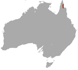 Cape York Rock Wallaby area.png