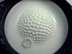 CornstarchCymatics cc.jpg