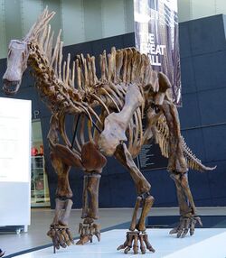 Dino amargasaurus.jpg
