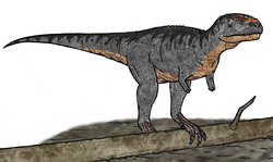 Eoabelisaurus restoration.png